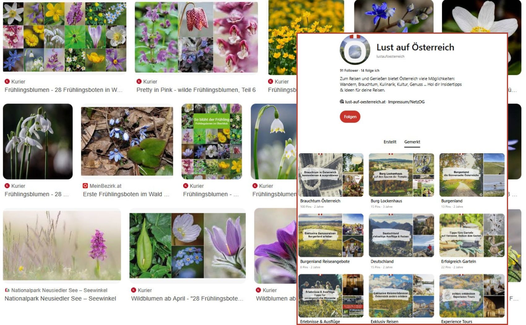 Wilde Frühlingboten Österreich - zahlreiche Bilder von Andrea Rammel